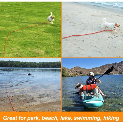 Longe pour Chien, 10m,Longue Laisse de Dressage de Chien de,Idéal pour la randonnée, Le Camping, l'entraînement, la Plage, Convient aux Chiens Petits et Moyens