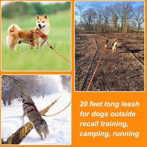 Longe pour Chien, 10m,Longue Laisse de Dressage de Chien de,Idéal pour la randonnée, Le Camping, l'entraînement, la Plage, Convient aux Chiens Petits et Moyens