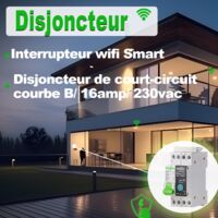Disjoncteur Wifi Intelligent TONGOU 16A - Compteur énergie - Compatible Smart Life/Tuya - Rail DIN