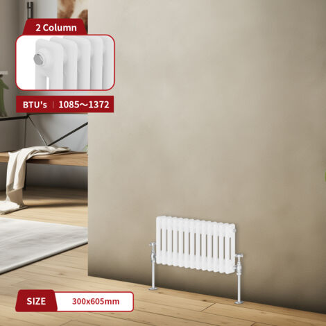 Warmehaus Traditional Radiator Double Column White 300 x 605mm (1/5)