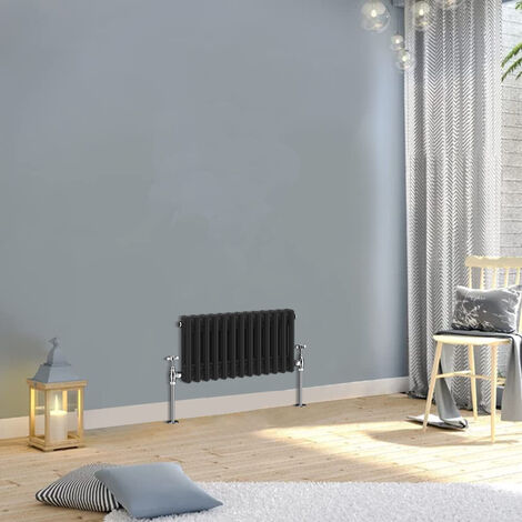Warmehaus Traditional Double Column Black Radiator 300x605mm