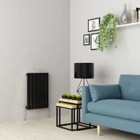 Warmehaus Black Oval Radiator Horizontal Single Panel 600x413mm