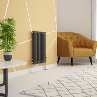 Traditional Cast Iron Style Anthracite Double Horizontal Radiator 600 x 425mm
