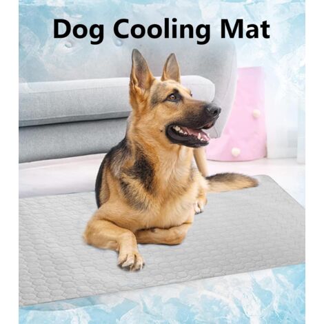Pet Summer Ice Silk Cool Sleeping Pad Pet Sofa Cushion Floor Cushion Dog Ice Cushion Spring and Summer Cat Cooling Pad