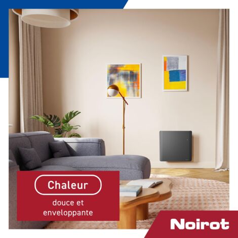 Radiateur à inertie double corps de chauffe NOIROT Evolution horizontal 1000W anthracite connecté