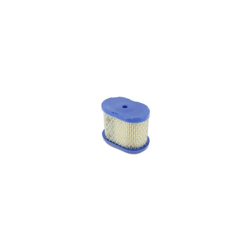 Kit Candela E Filtro Aria Blu Per Tosaerba Briggs & Stratton Quantum – Ricambio Universale - 2