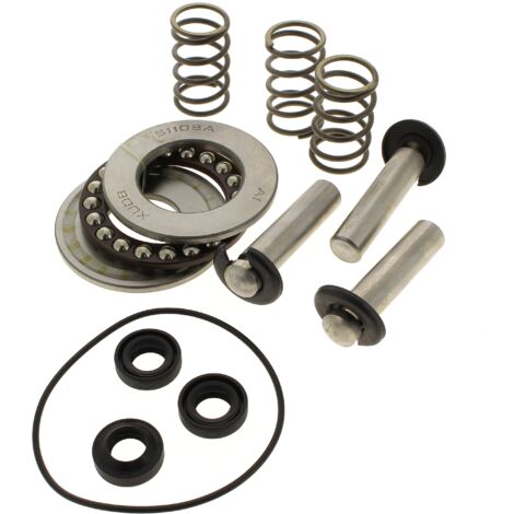 Kit pistoni + guarnizioni + cuscinetti per idropulitrice mac allister