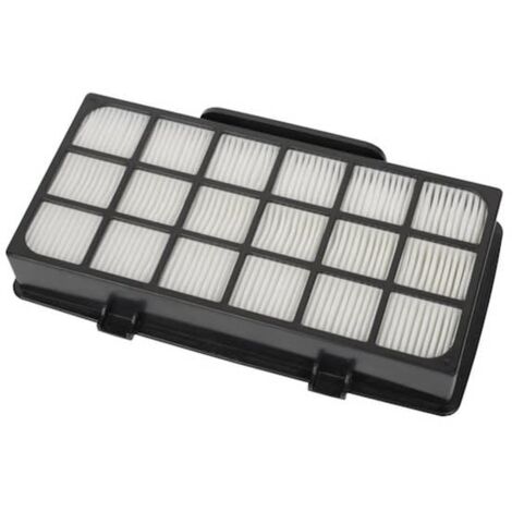 Kit filtro HEPA per aspirapolvere Rowenta X-Trem Power Cyclonic