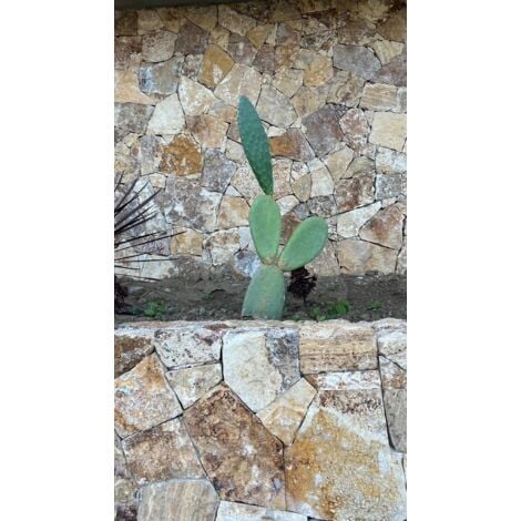 Pierres Sèches - Parement mural - MURCIA - Opus incertum - Naturelle - (1 m²)