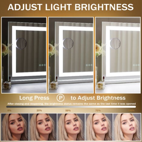 FENCHILIN Spiegel mit Lampe kann 3 Lichteffekte einstellen hängt an der Wand / Schreibtisch Dual-Use-Spiegel Make-up-Spiegel Badezimmerspiegel große weiße 58cm x 46cm weiß