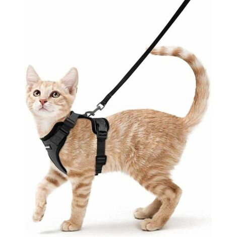 Katzengeschirr Kleine Hundeleine Verstellbares Kätzchengeschirr Schwarzes S-Kragen Reflektierendes Katzengeschirr Atmungsaktive Weste für Kaninchen, Europäische Katze, Maine Coon, Perser, Clip an der 