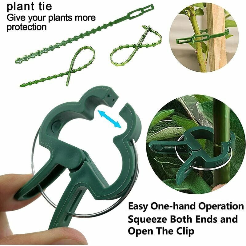Clip ad anello per supporto piante in plastica - 1OK06 - Bato Plastics B.V