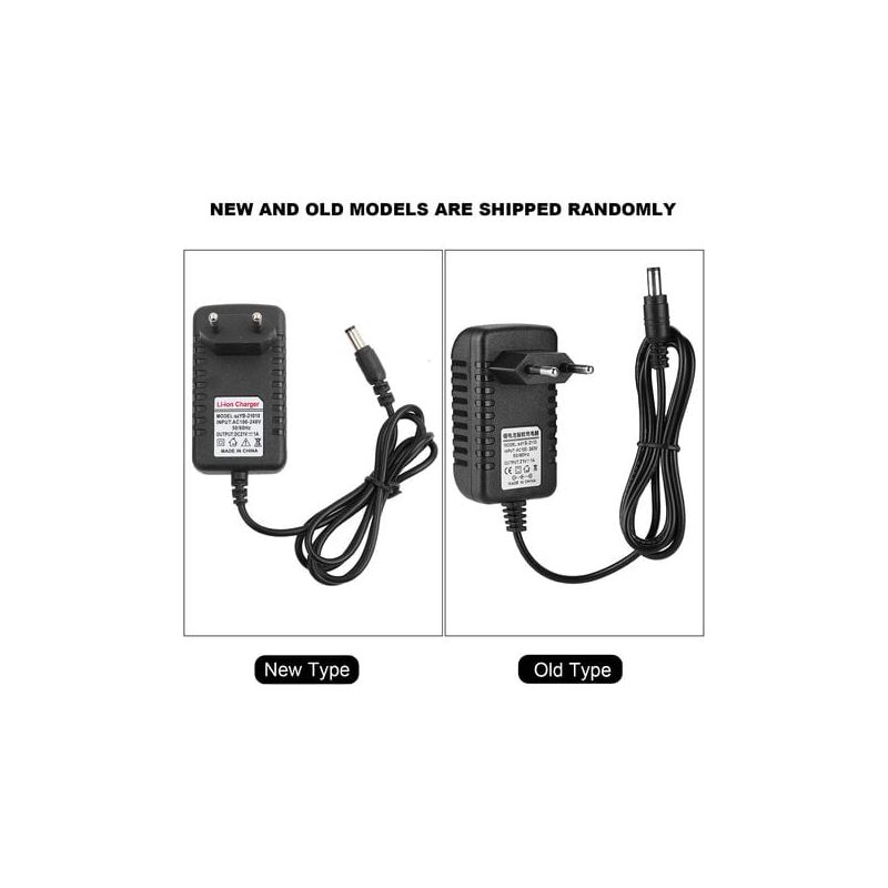 Adattatore Caricabatteria Litio 21V/1A Delaman - Ricarica Veloce E Sicura Con Nucleo In Rame Spesso