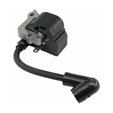 Bobina Di Accensione Per Stihl Fs55 Fs55c Fs46 Fc55 Fs38 Fs45 Fs55 HL45 Hs45 Bdliv 88557748