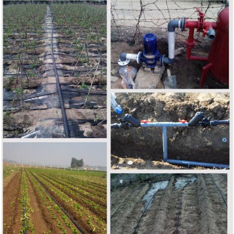 Scavo Per La Posa Di Una Tubazione Di Alimentazione Dell'acqua. Costruzione Di Tubature Per Acqua Potabile Con Gate In Shallow Trench Image223225597