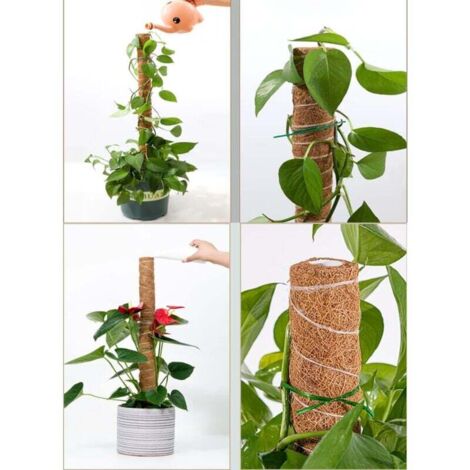 Pali di muschio per piante Monstera 120cm pali pieghevoli per piante rampicanti supporto per piante in fibra di cocco per interni traliccio da giardino pali per piante  15