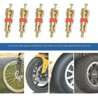 Sostituisci gli strumenti di smontaggio, sostituzione dello strumento di riparazione per la rimozione degli steli della valvola a scatto per pneumatici tubeless a gomito Tr418
