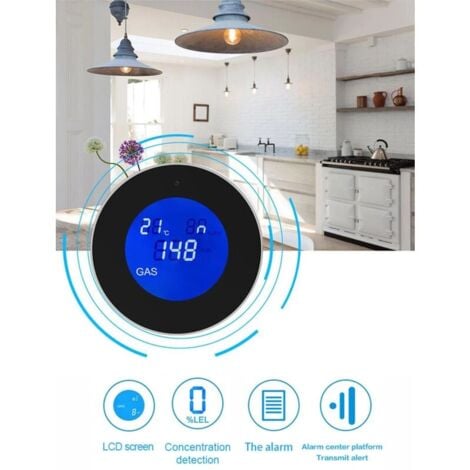 Multi-gas detector connected with voice announcement
