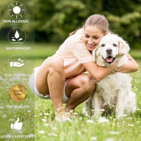 Adjustable Anti-Flea and Tick Collar for Dogs – Waterproof – 8 Months of Effective Protection – Natural Essential Oils