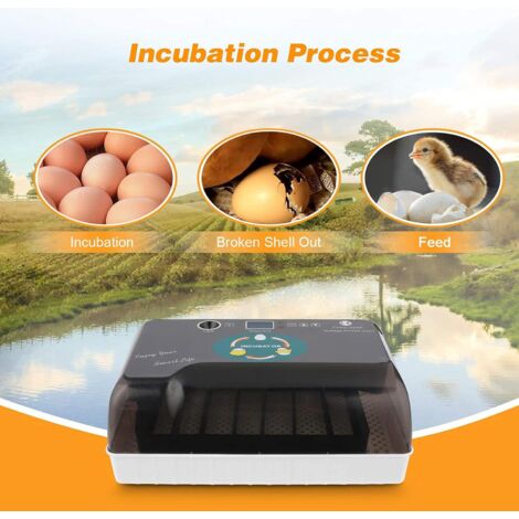 Incubadora Automática Digital Para 10 Huevos - Control De Temperatura, Volteo Automático, 220V, Ideal Hogar