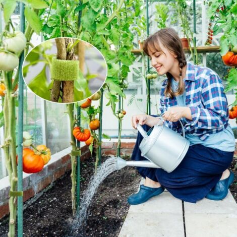 Fascette Per Piante In Velcro 25m - Verde, 10mm, Riutilizzabili, Per Legare Viti, Pomodori, Fiori - Foto 12