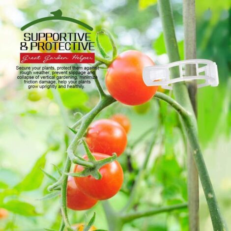 BEADNOVA 150 Stück Pflanzenclips - Gartenklammern Für Tomaten, Ranken & Gemüse