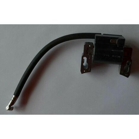 Bobina Di Accensione Di Alta Qualità Adatta Per Briggs Stratton Vanguard 9 14hp 12hp 125hp Aa - Foto 3