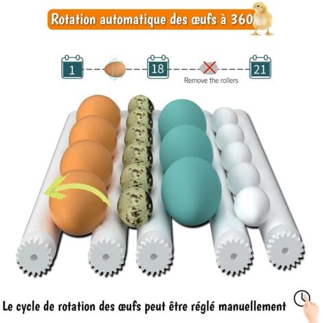 Incubadora automática de huevos, volteo automático de huevos, controlador de granja para pollos, 16 huevos