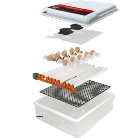 Incubadora automática de huevos, volteo automático de huevos, controlador de granja para pollos, 16 huevos