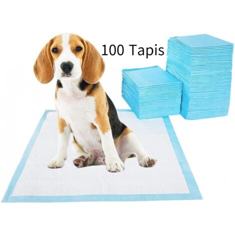 YMYNY - Paquete de 100 almohadillas de entrenamiento para perros, 33 x 45 cm, desechables, súper absorbentes, resistentes a los olores (1/5)