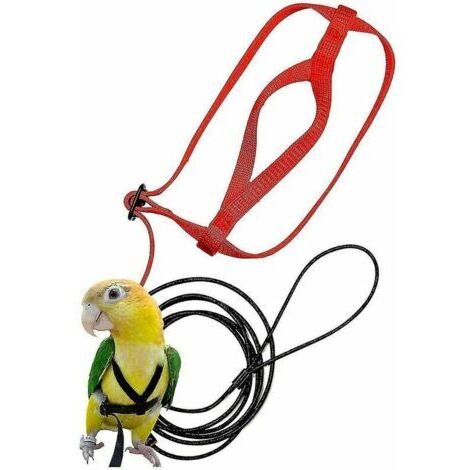 Arnés ajustable para pájaros, arnés para loros, correa de entrenamiento anti-mordeduras, arnés para volar al aire libre --- XS, Sunny