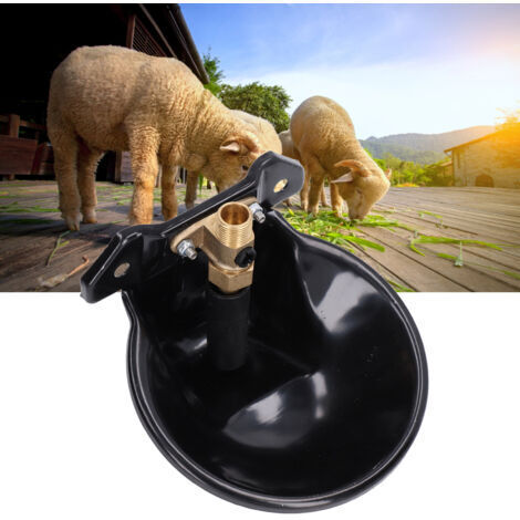 Bebedero automático de acero inoxidable para ovejas con válvula de cobre, interruptor táctil y bebedero para cabras de gran capacidad, ideal para uso en granjas.