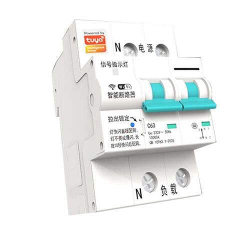 Interruptor automático de retardo de tiempo WiFi inteligente Tuya 63 A 2P