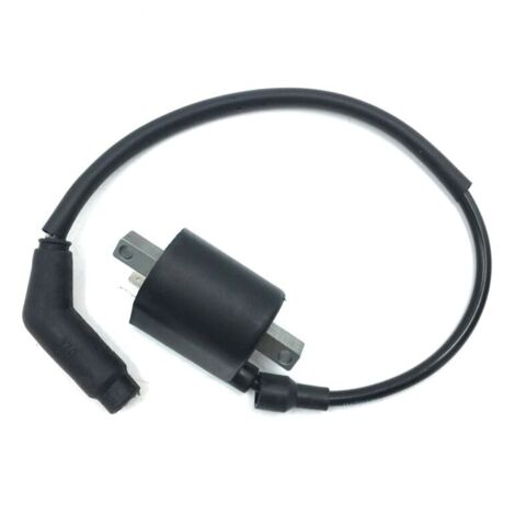 Bobina de encendido y cable nuevos 22012 para Linhai 260 300 400 500 520 550 EFI ATV Quad UTV (1/4)