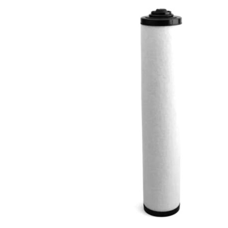 Filtro separador de niebla para bomba de vacío 0532140159 para RA0160D, RA0165D, RA0255D y RA0305D (1/4)
