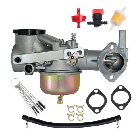 Carburador para motores de las series 191700, 192700 y 193700. Repuestos: 390811, 392152, 491029 y 491590. (1/4)