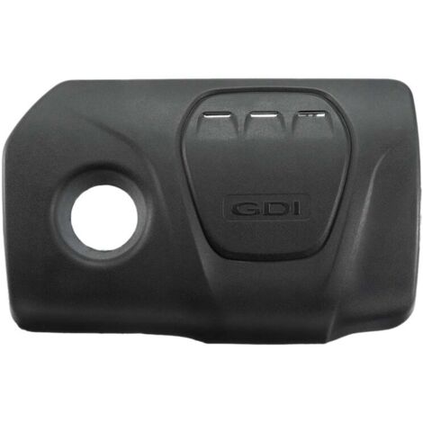 Tapa protectora antipolvo para motor de coche modelo 1.6 2017 (1/4)