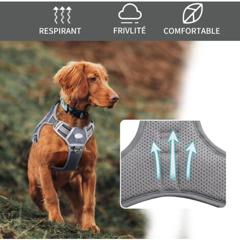 Harnais de Chien Anti Traction, Harnais Tactique Chien Respirant Réglable Facile à Mettre pour Moyen Grand Chien, Gilet Durable Réfléchissant - Gris - S