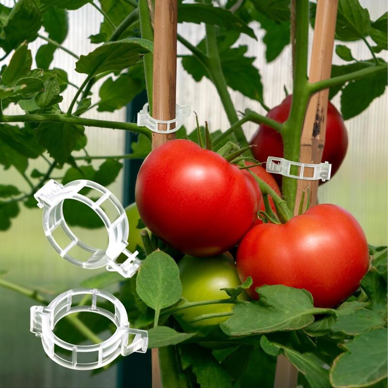 100/200Pcs Plant Support Clips Plastic Tomato Trellis Clips For Climbing Plants | UK
