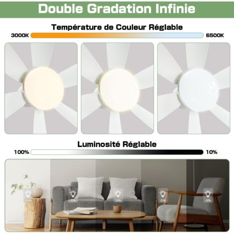 52cm Quiet Ceiling Fan with Light and Remote Control, 40W Ceiling Fan Lamp with E27 Socket, Dimmable LED Ceiling Fan for Bedroom, Living Room, 3 Speeds, 6 Blades [Energy Class E]