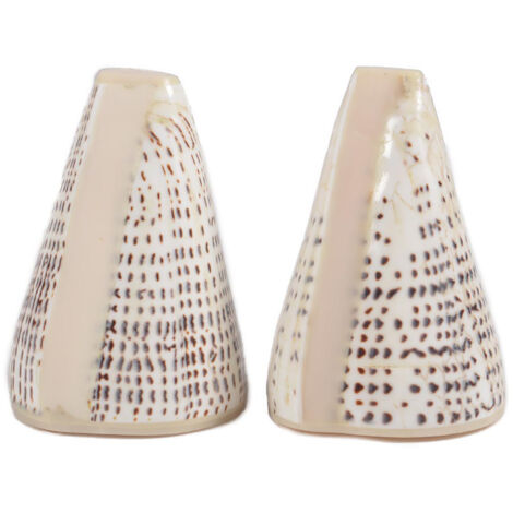 CONE - Duo Salière et Poivrier en Coquillage Naturel - 6.5 à 9.5cm - Fait Main - Pièces Uniques - Finition Résine - Style Bord de Mer