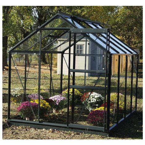 Serre jardin verre trempé Sekurit - 4.7 m² - 186 x 250 x 190 cm - Anthracite