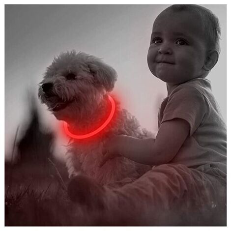 Collare per cani a LED ricaricabile tramite USB per la sicurezza notturna - Collare luminoso alla moda per cani di piccola, media e grande taglia (1 confezione, rosso, 20")