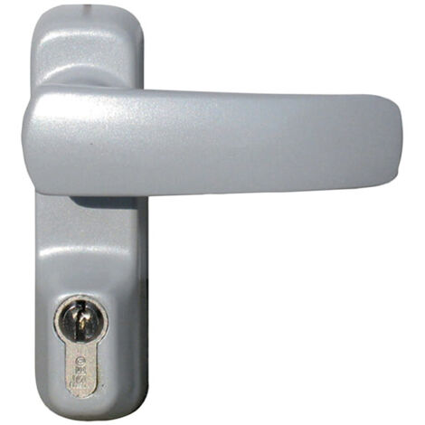 Juego de manillas antivandálicas ISEO para cilindros grandes - Gris - 94011003T