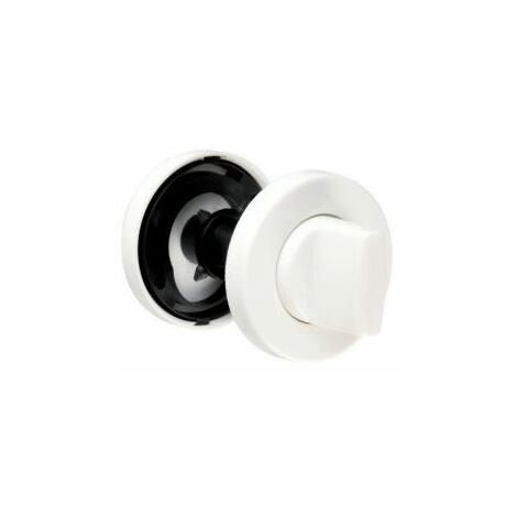 Par de rosas Arcolor 7700 BEZAULT Condamnation - Blanco - 0089247 (1/2)
