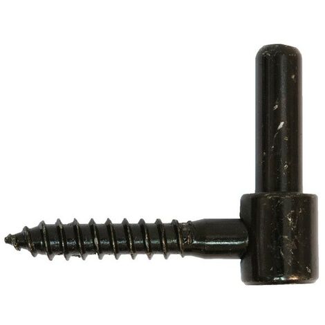 Bisagra atornillable TORBEL - Ø18 mm - Negra - P6110914 (1/2)