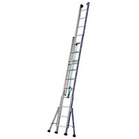 Escalera de acceso mediante cuerda Platinium 300 de 2 tramos TUBESCA - 3,53 x 6,05 m - 02432312