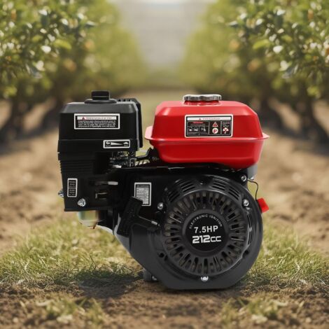 Motore A Scoppio 7,5 CV, Motore A Benzina 4 Tempi 196cc Con Albero 20