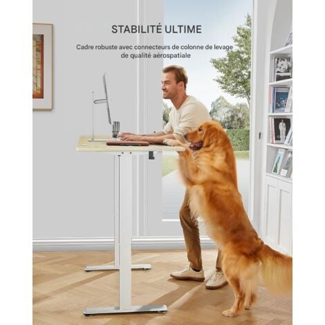 Bureau Assis Debout Electrique,120 x 60 cm, Bureau Motorisé Ergonomique, avec Contrôle de la mémoire, Beige, ERGEAR