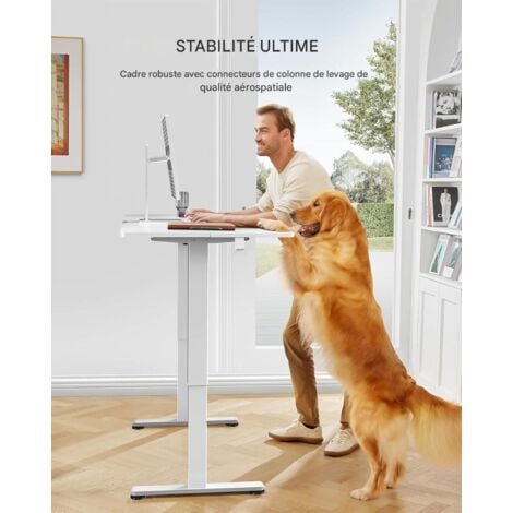 Bureau Assis Debout Electrique,120 x 60 cm, Bureau Motorisé Ergonomique, avec Contrôle de la mémoire, blanc, ERGEAR